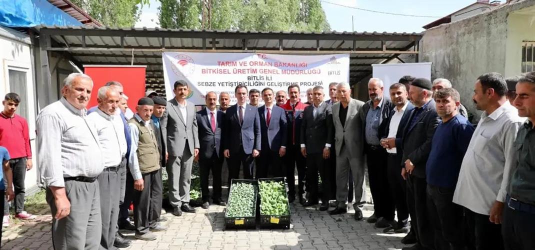 Sebze Fidesi Dağıtım Projesi